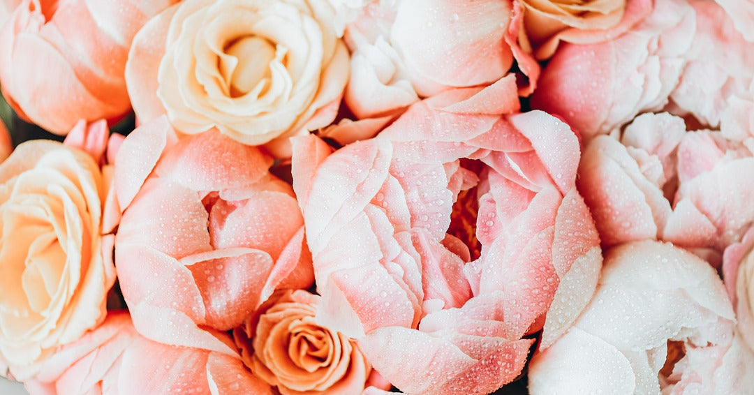 Spring Wedding Flowers in Vancouver: Peonies, Tulips & Seasonal Blooms